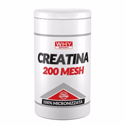 WHY SPORT CREATINA 200 MESH 500G