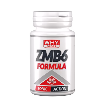 WHY SPORT ZMB6 90CPR
