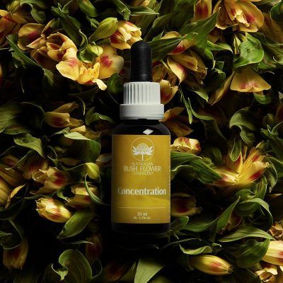 CONCENTRATION ESSENZE 30mL