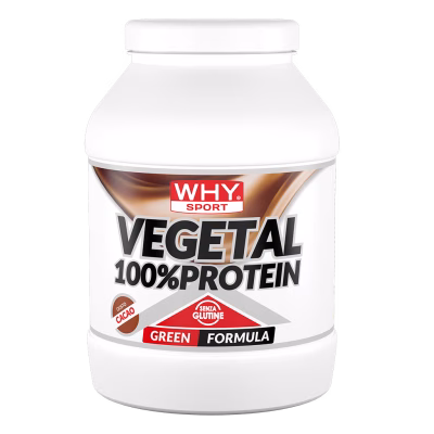 100_ VEGETAL PROTEIN CACAO