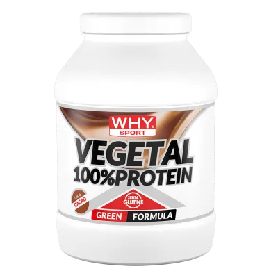 100_ VEGETAL PROTEIN CACAO