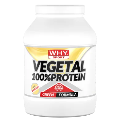 100_ VEGETAL PROTEIN VANIGLIA
