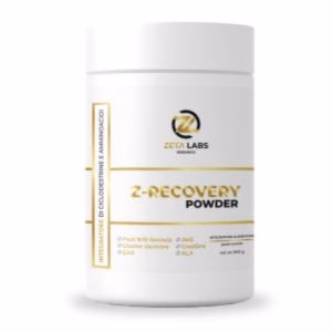 Z RECOVERY POWDER 900G