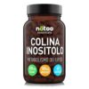 natoo-essentials-colina-inositolo-metabolismo-lipidi