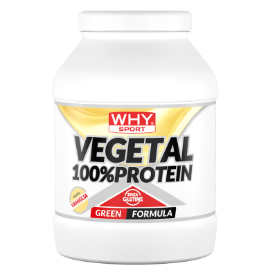 100_ VEGETAL PROTEIN VANIGLIA