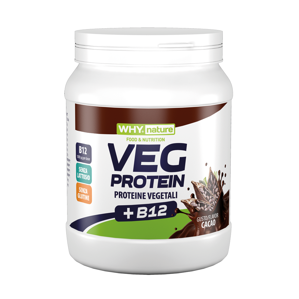 Why Nature Veg Protein Cacao 450 gr