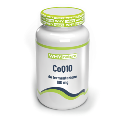 Why Nature CoQ10 100mg 90cps
